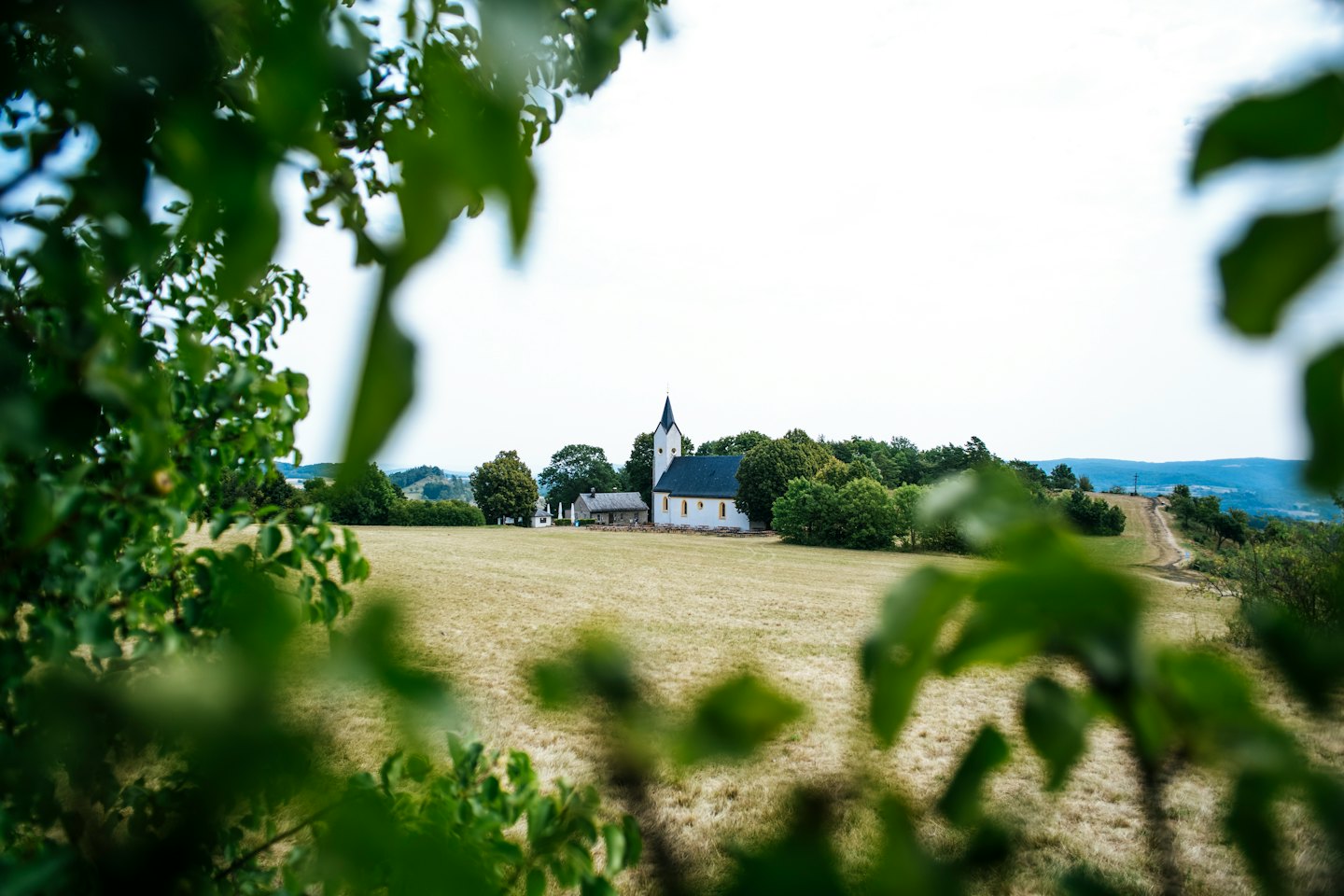 White church and grey building in a dry field.